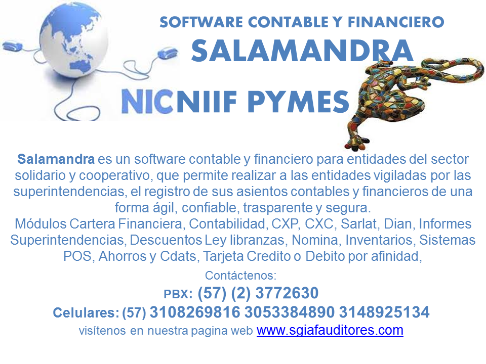 salamandra2